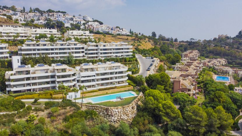 Apartamento en venta en Botanic, Benahavis