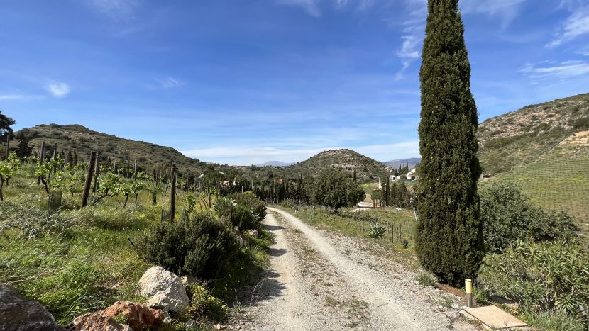 Finca en venta en Cartama
