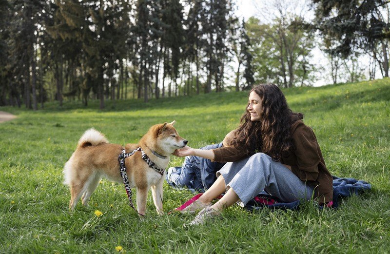 Pet ownership: pet-friendly park where girl is sitting in the park