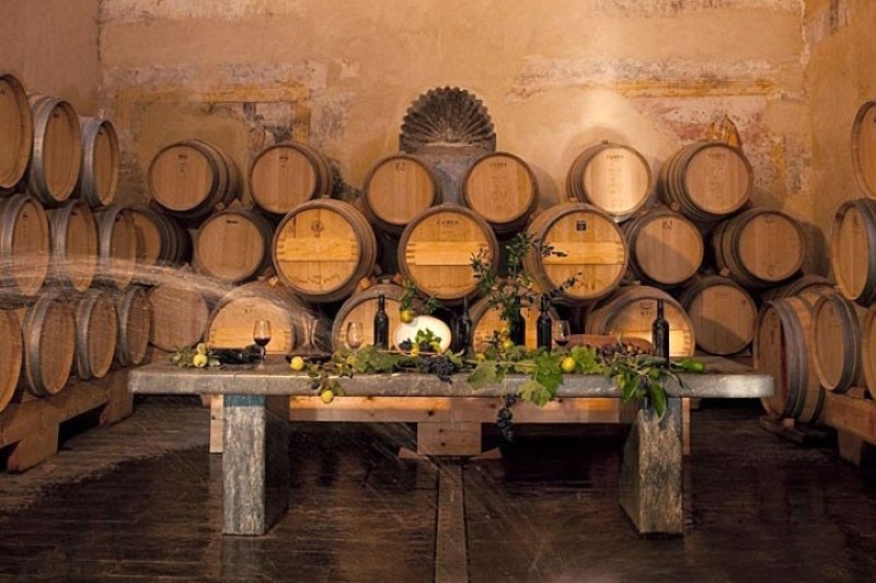 barrels of wine for wine tasting in Marbella