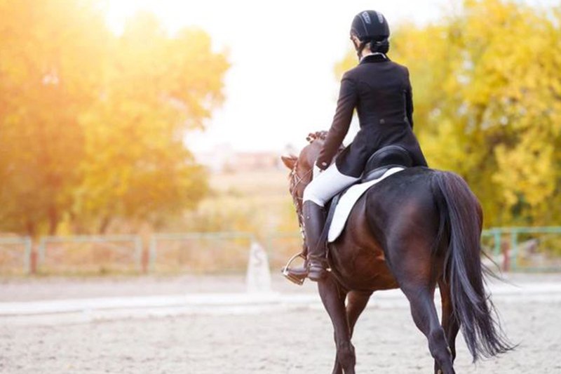 horseback riding Marbella