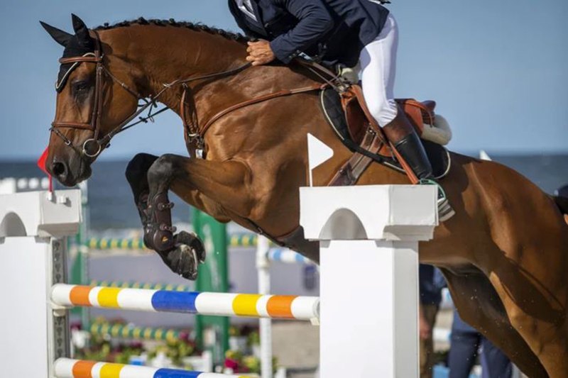 Jumping and Dressage Classes in Hacienda MonteMarina in Marbella