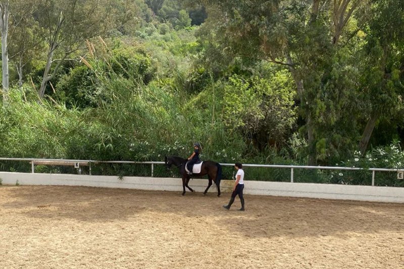 Centro Hípico El Repique-Marbella, Excellence in Equestrian Training and Horse Care