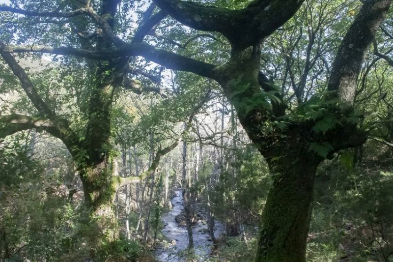 Hiking in Sotogrande, Rio de la Miel