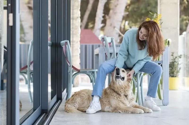 woman with her dog representing