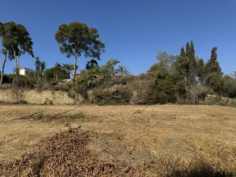 Terrain à vendre dans Sotogrande