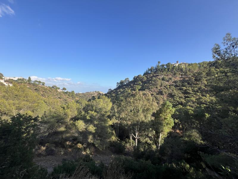 Grund til salg i El Madroñal, Benahavis