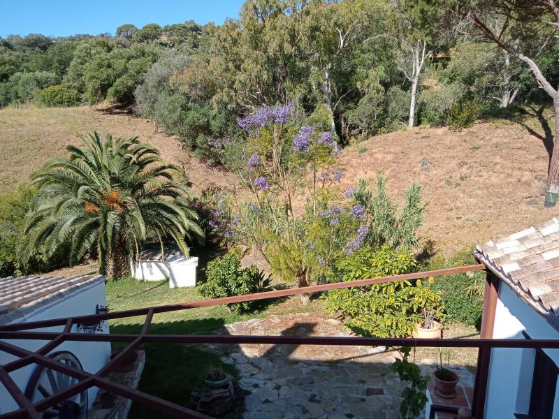 Charming Andalusian Finca in Casares