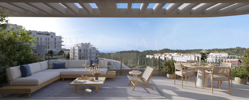 THE COVE - ARCHITECTURE FOR THE SENSES