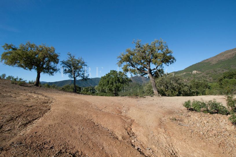 An Exceptional Elevated Plot with Panoramic Mediterranean Views and Unrivalled Privacy