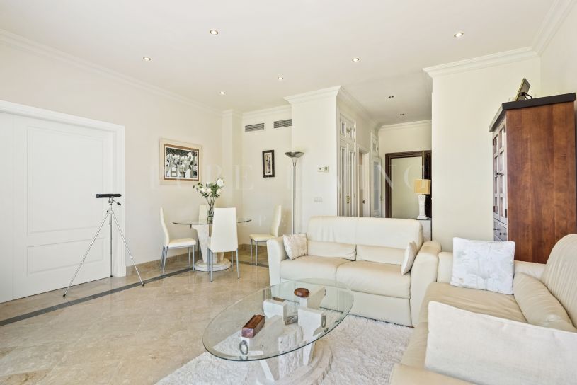 Spacious one bedroom apartment in Los Flamingos