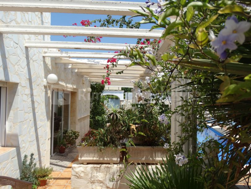 Hôtel accueillant situé à quelques 300 mètres de la mer à Calpe, Alicante, à proximité du centre urbain, des plages et du Parc Naturel du Peñon de Ifach, symbole de la Costa Blanca.