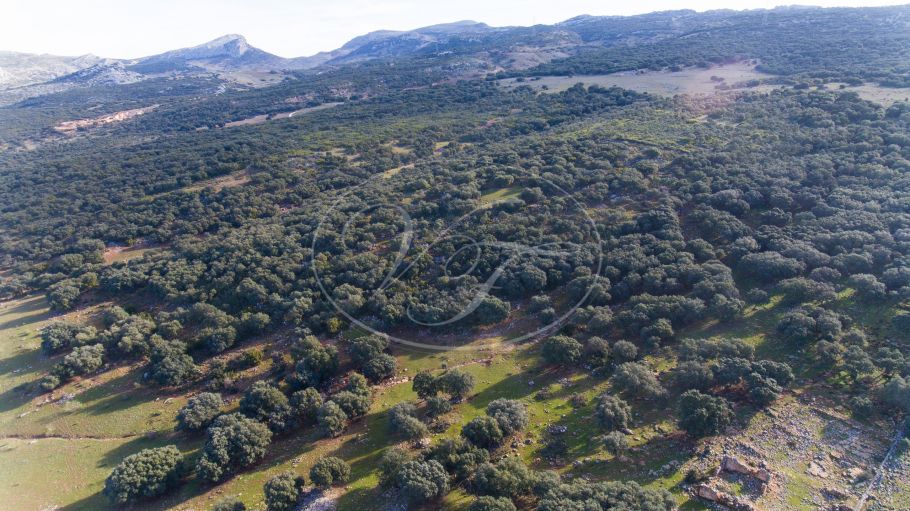 Land mit Panoramablick, Ronda