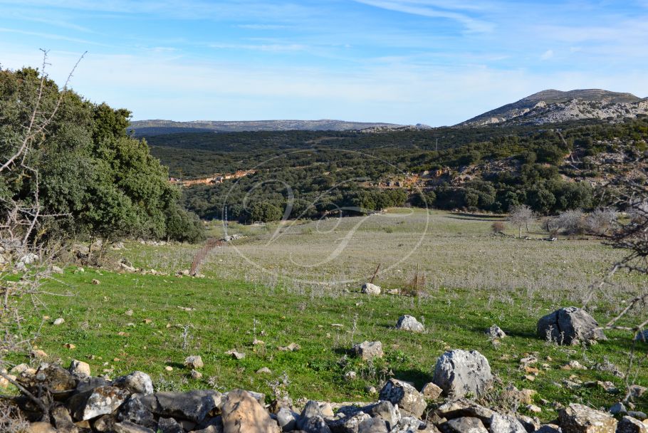 Land mit Panoramablick, Ronda