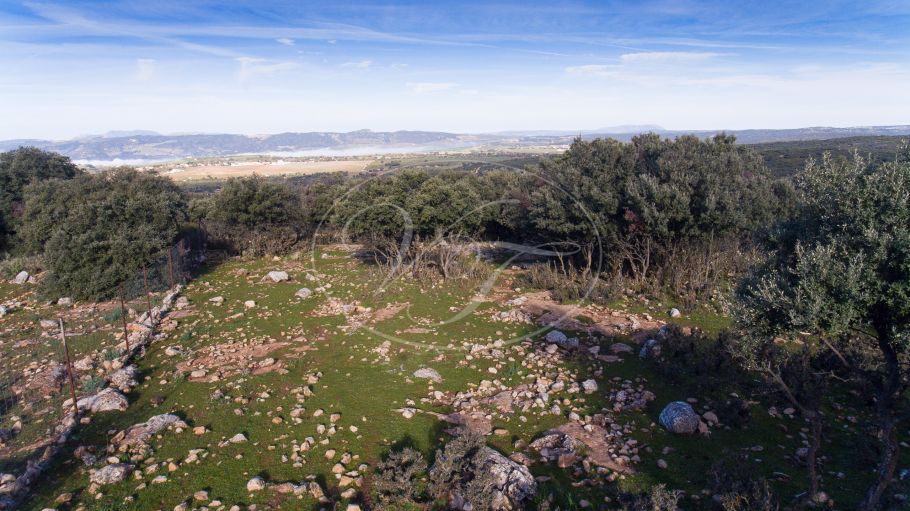 Land mit Panoramablick, Ronda