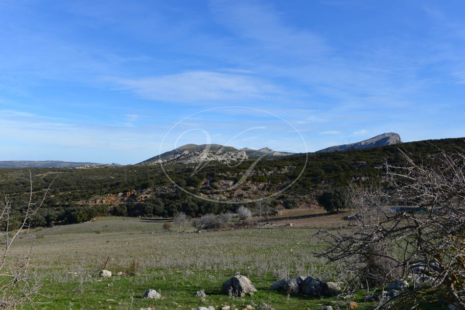 Land mit Panoramablick, Ronda