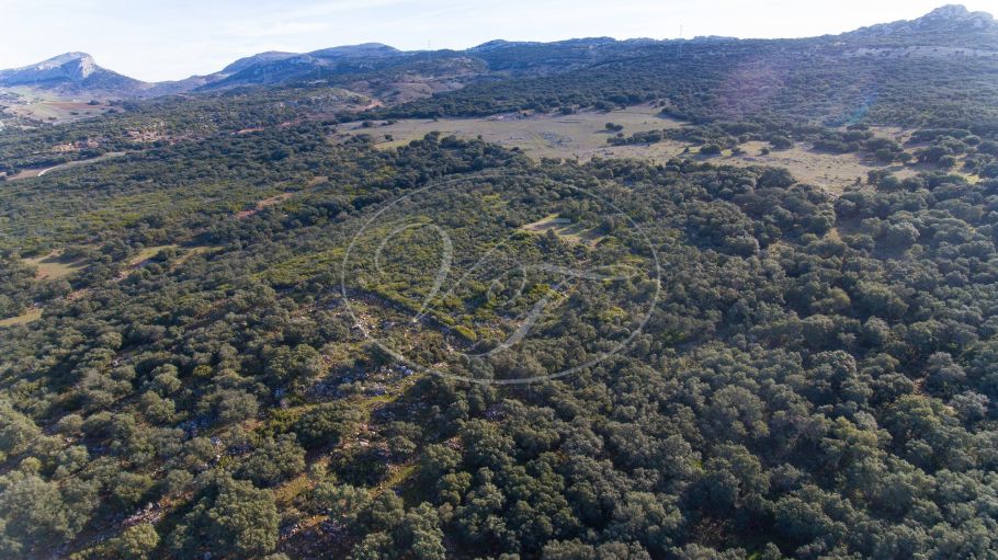 Land mit Panoramablick, Ronda