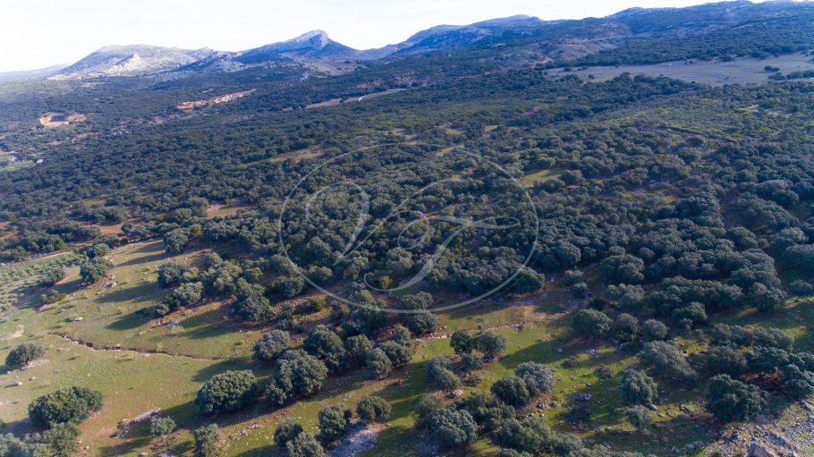 Land mit Panoramablick, Ronda