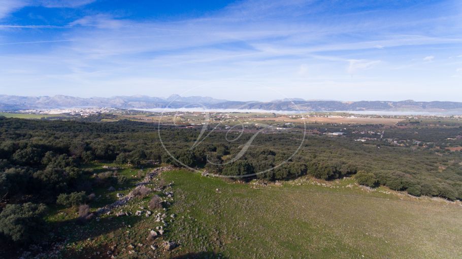 Land mit Panoramablick, Ronda