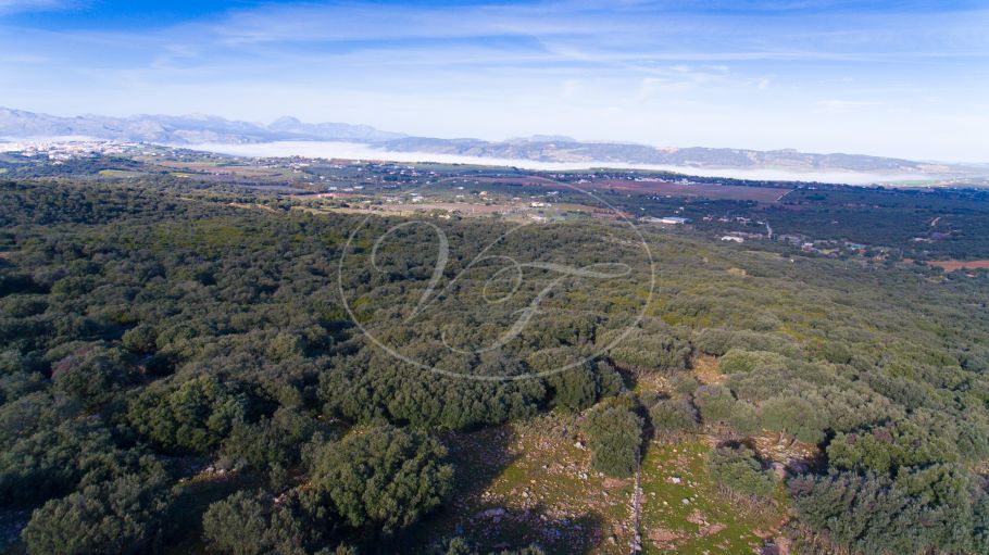 Land mit Panoramablick, Ronda