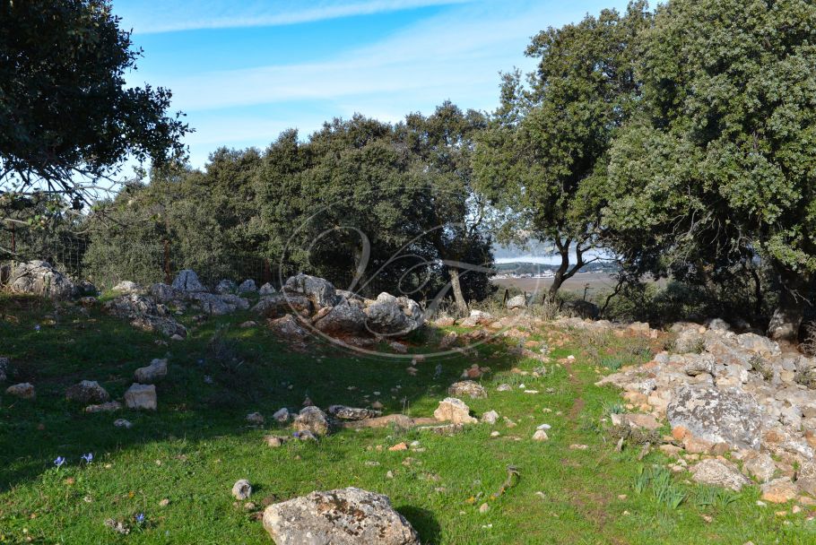 Land mit Panoramablick, Ronda