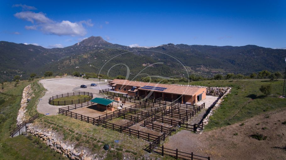 Equestrian property for sale bordering the River Genal, Casares