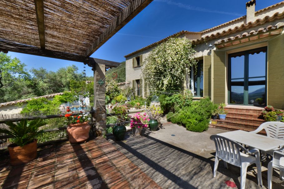 Charming finca with olive grove, El Bosque