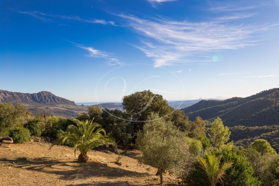 Lovely Finca with sea views, Gaucin