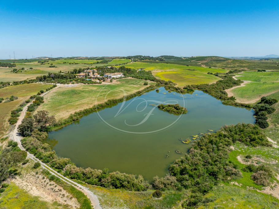 Palacial Country Estate in Andalusia, Seville
