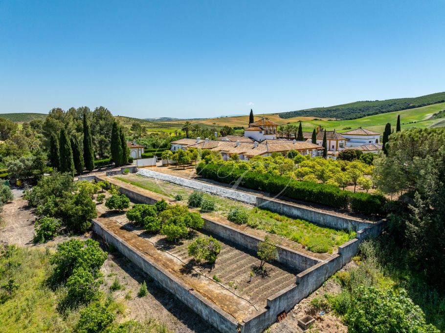 Palacial Country Estate in Andalusia, Seville