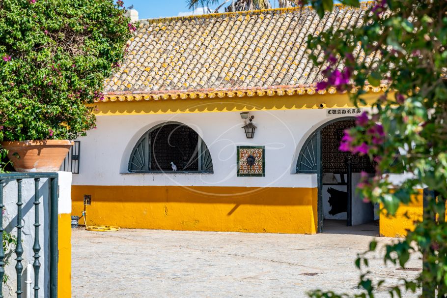 Palacial Country Estate in Andalusia, Seville