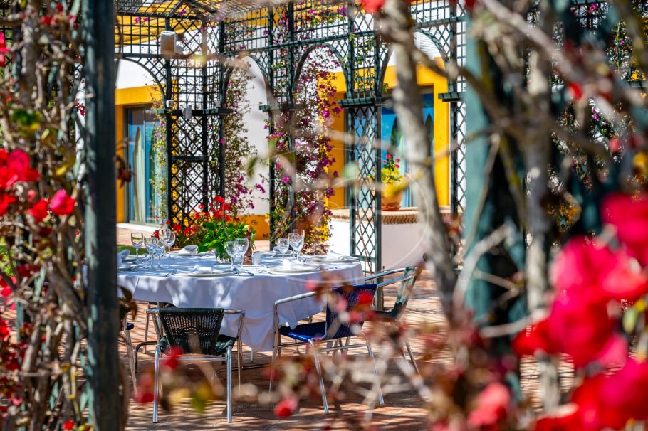 Palacial Country Estate in Andalusia, Seville