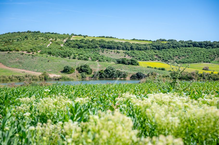 Palacial Country Estate in Andalusia, Seville