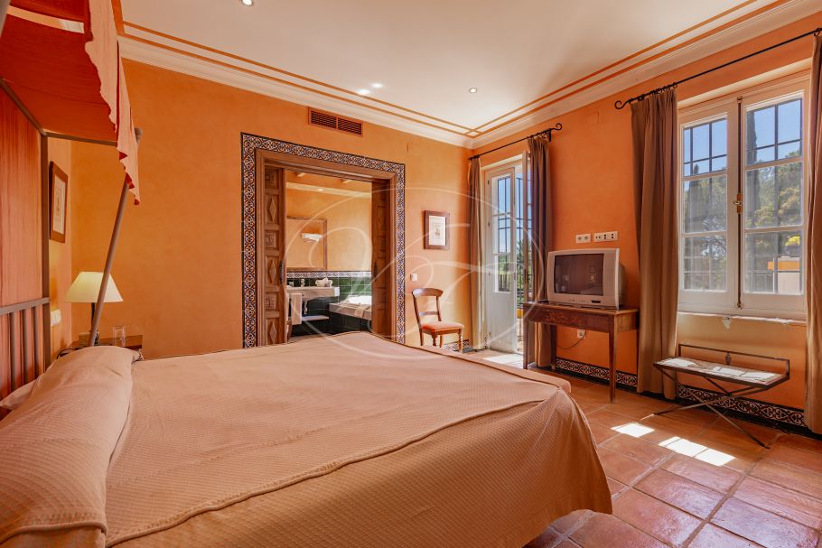 Palacial Country Estate in Andalusia, Seville