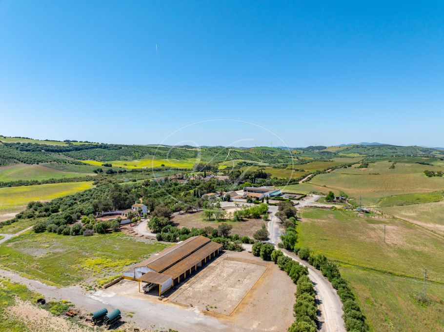 Palacial Country Estate in Andalusia, Seville
