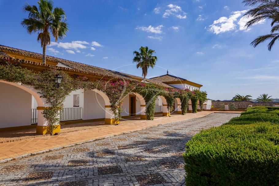 Palacial Country Estate in Andalusia, Seville