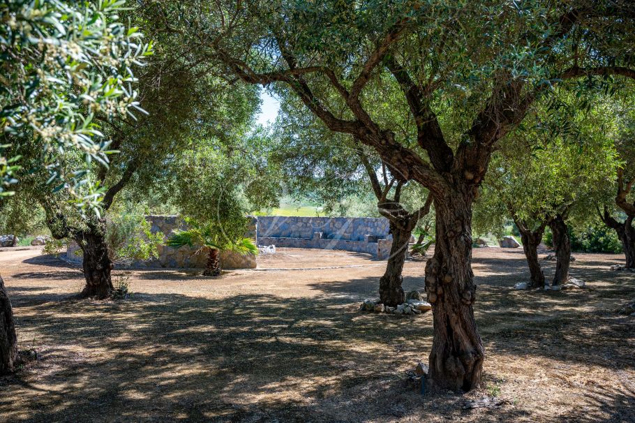 Palacial Country Estate in Andalusia, Seville