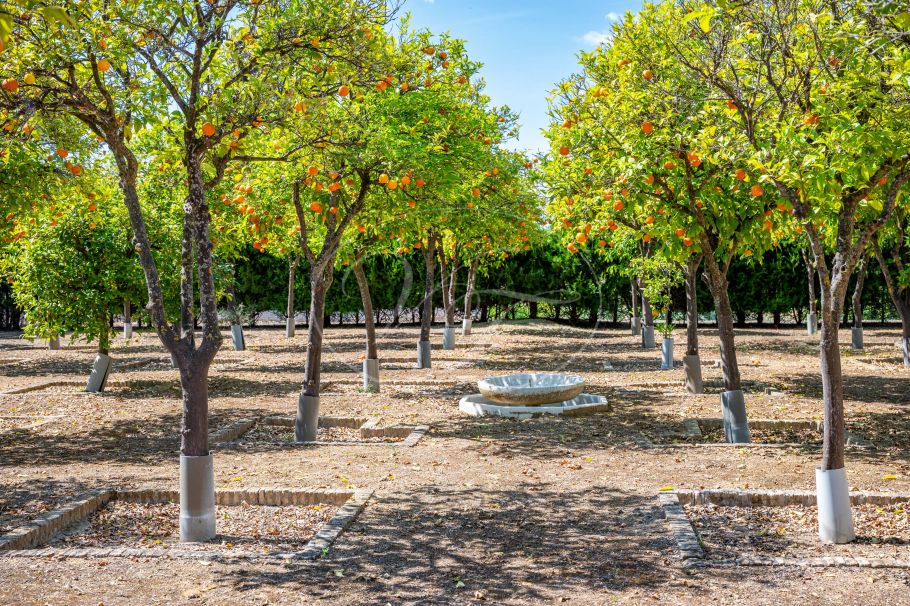 Palacial Country Estate in Andalusia, Seville