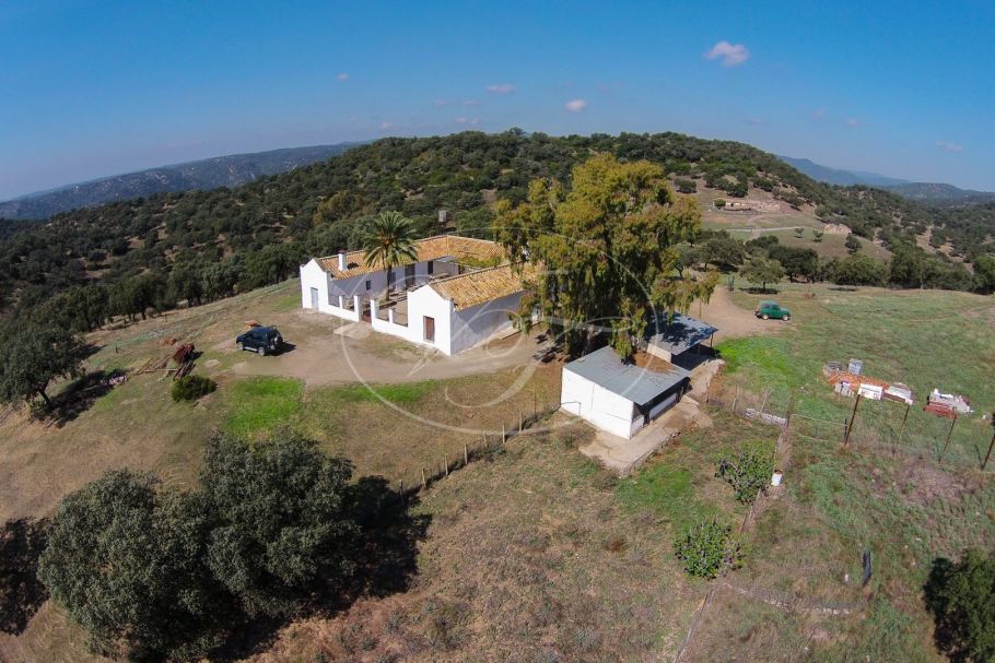 Finca con cortijo y posibilidades de caza, pesca, ecuestre, Almodovar del Rio