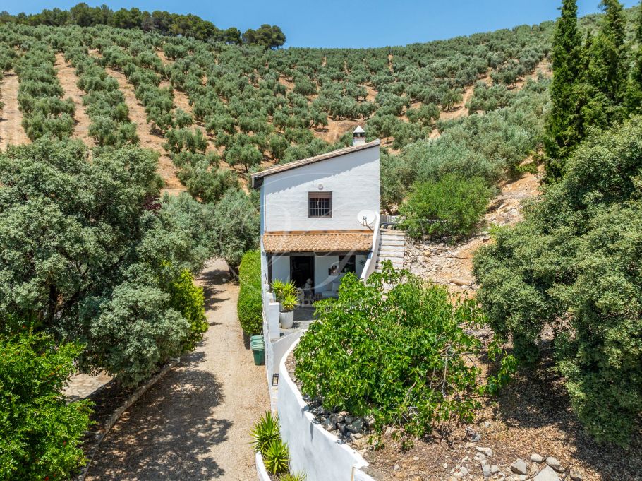 Stunning Renovated Spanish Cortijo with Guest House, Granada