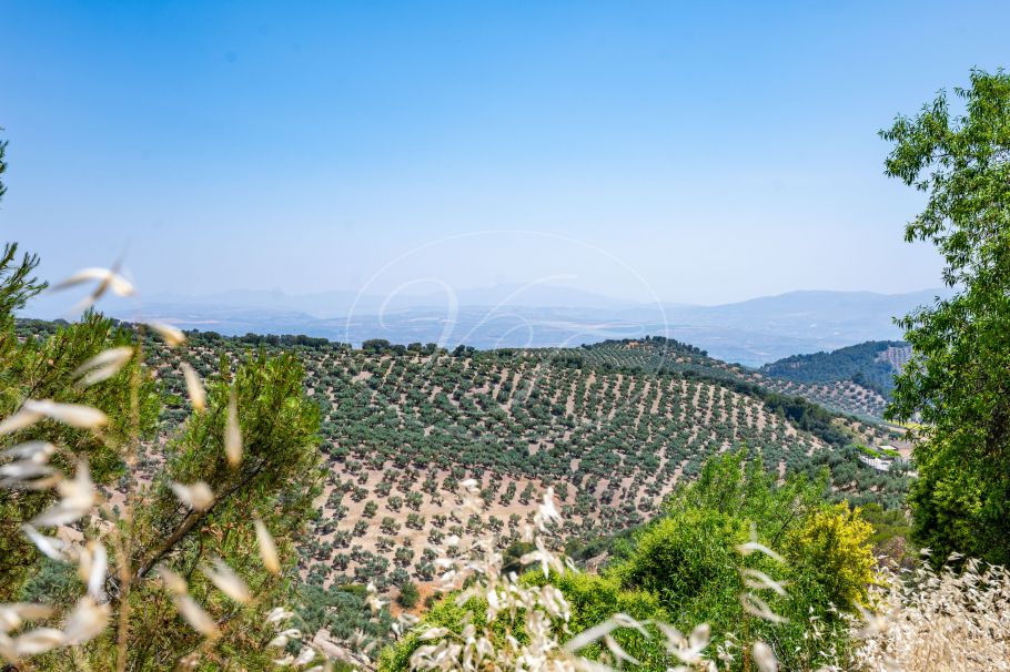Stunning Renovated Spanish Cortijo with Guest House, Granada