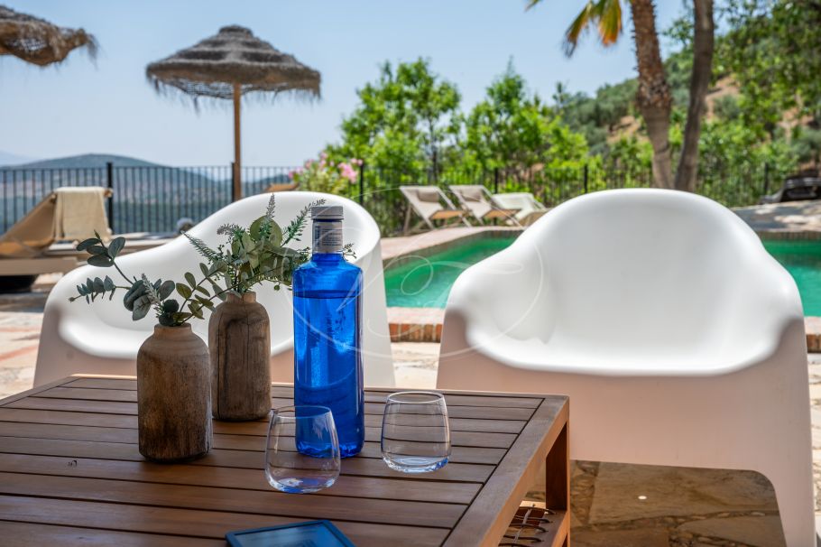 Stunning Renovated Spanish Cortijo with Guest House, Granada