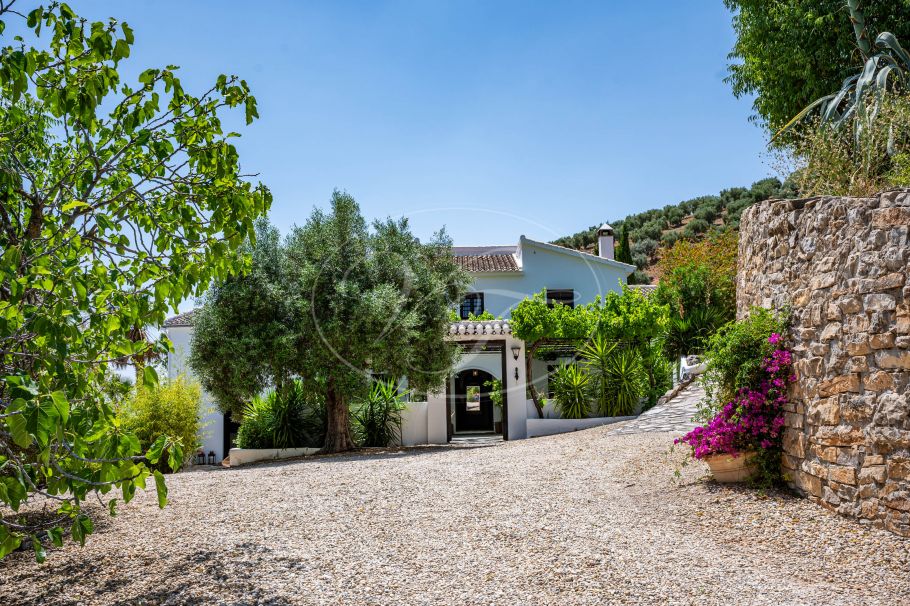 Stunning Renovated Spanish Cortijo with Guest House, Granada
