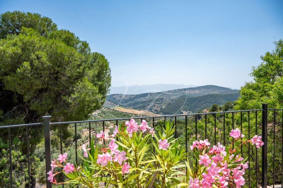Stunning Renovated Spanish Cortijo with Guest House, Granada