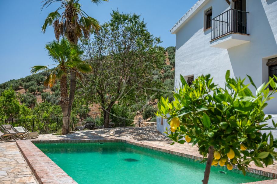 Stunning Renovated Spanish Cortijo with Guest House, Granada