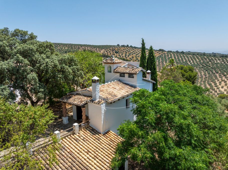Stunning Renovated Spanish Cortijo with Guest House, Granada