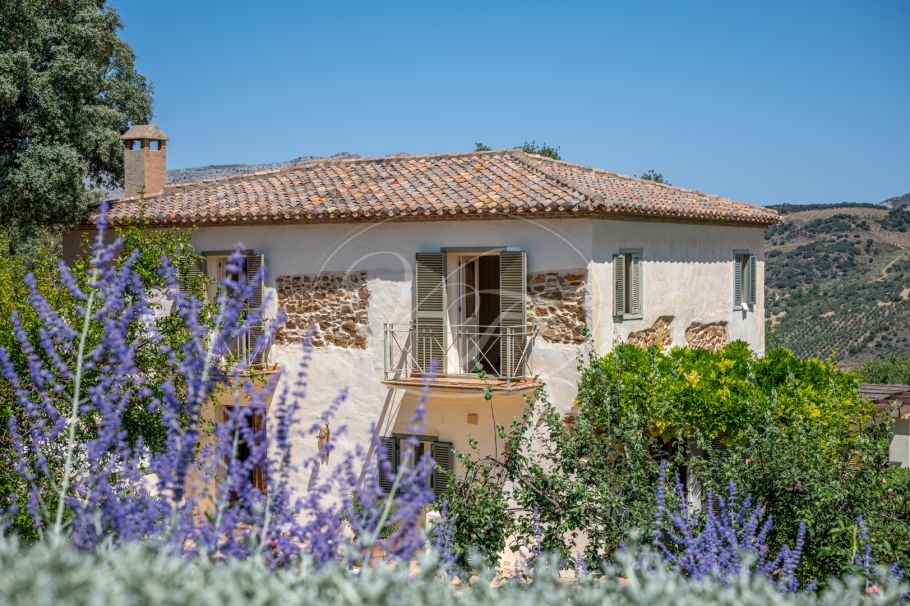 Finca near Malaga for sale, Villanueva de la Concepción