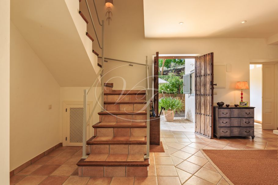 Finca near Malaga for sale, Villanueva de la Concepción