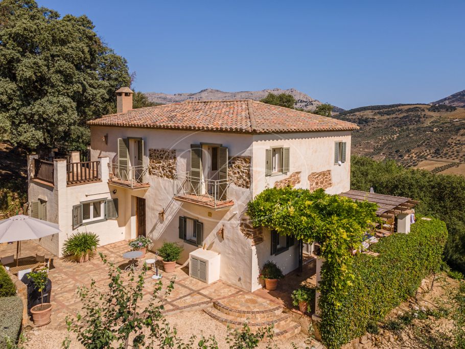Finca near Malaga for sale, Villanueva de la Concepción