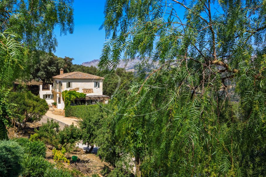 Finca near Malaga for sale, Villanueva de la Concepción